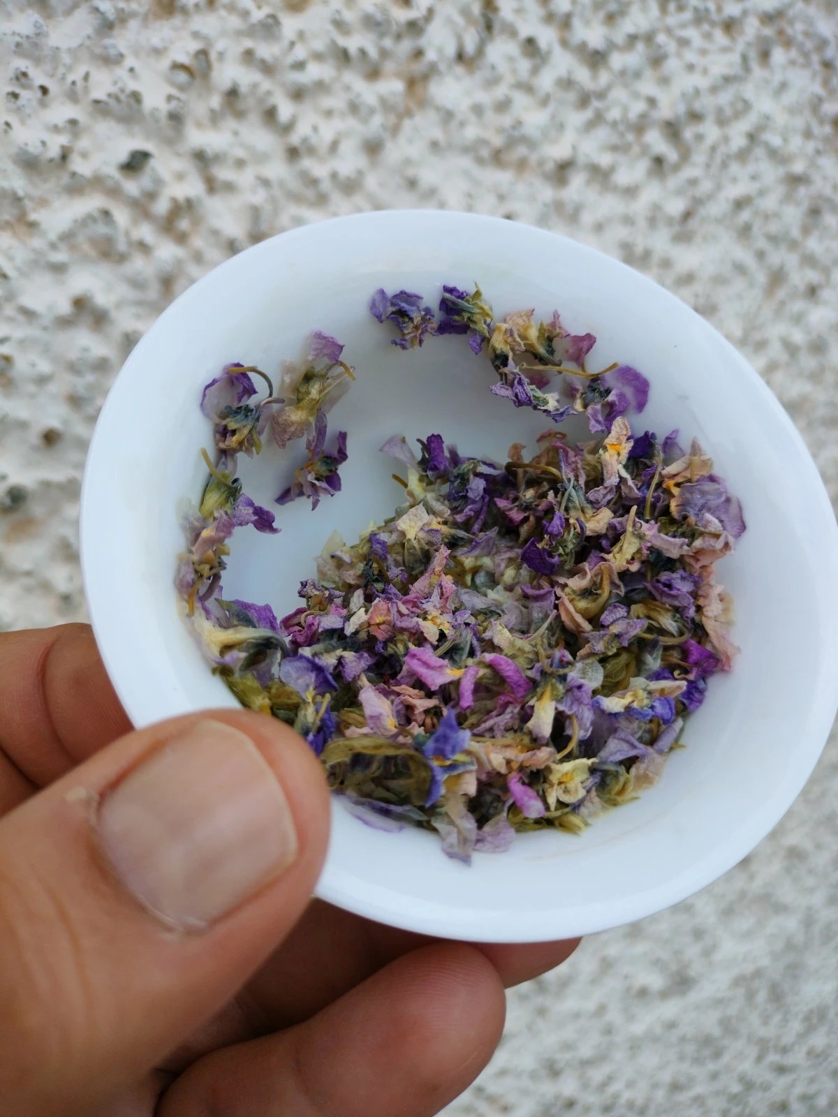 Torkade violblommor – närbild